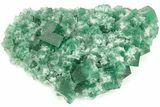 Fluorescent Green Fluorite Cluster - Diana Maria Mine, England #208887-2